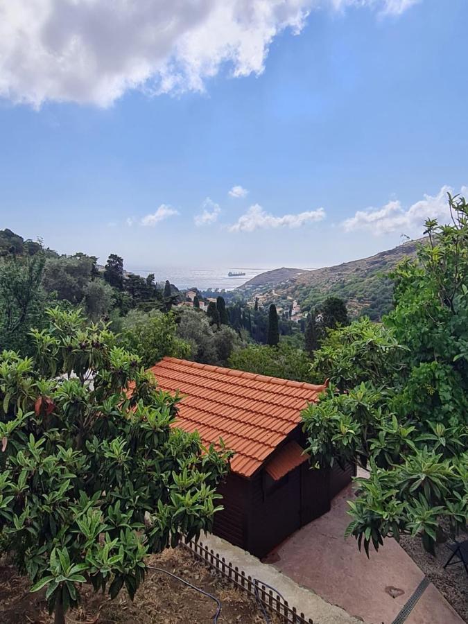 Casa Di Patouria , Stenies Andros Apikia  外观 照片